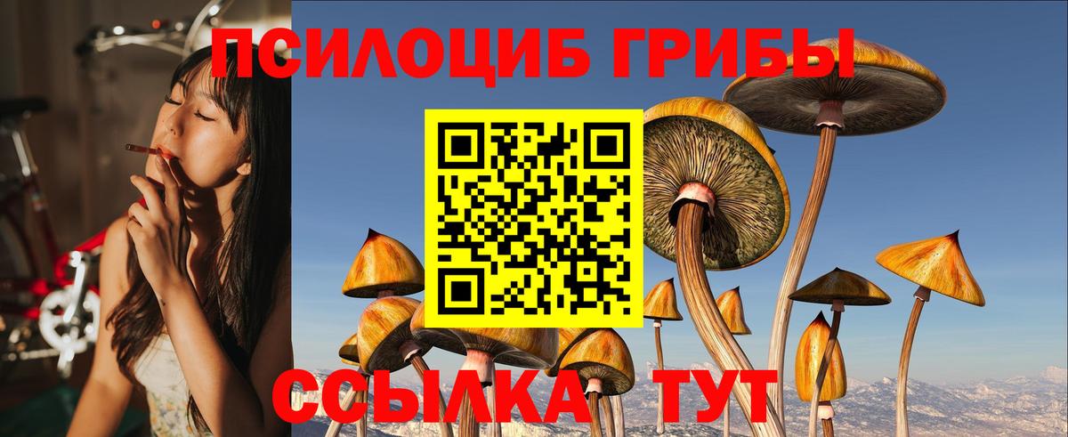 Псилоцибиновые грибы Cubensis Тельмана