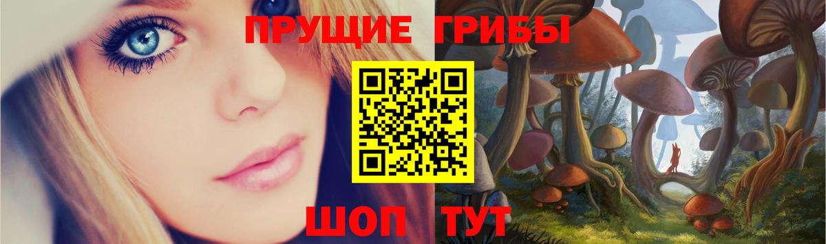 Псилоцибиновые грибы Psilocybine cubensis  Вход с VPN  Галлюциногенные грибы Psilocybe  Тельмана 